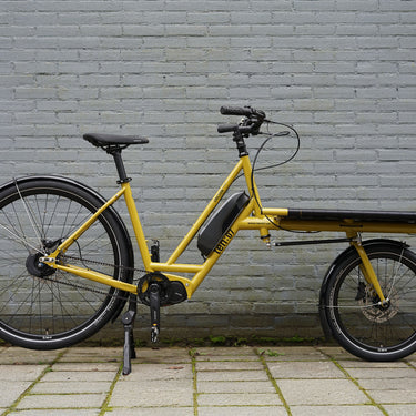#color_mustard-yellow