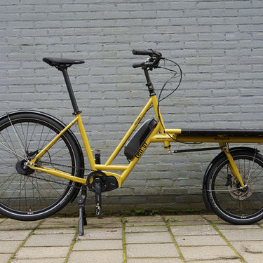 #color_mustard-yellow