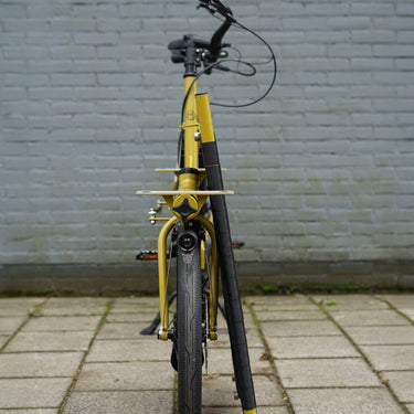 #color_mustard-yellow