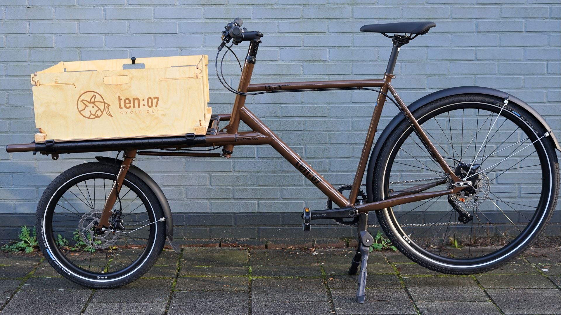 Folding Cargo Box for Dogs – Ten07 Cycles